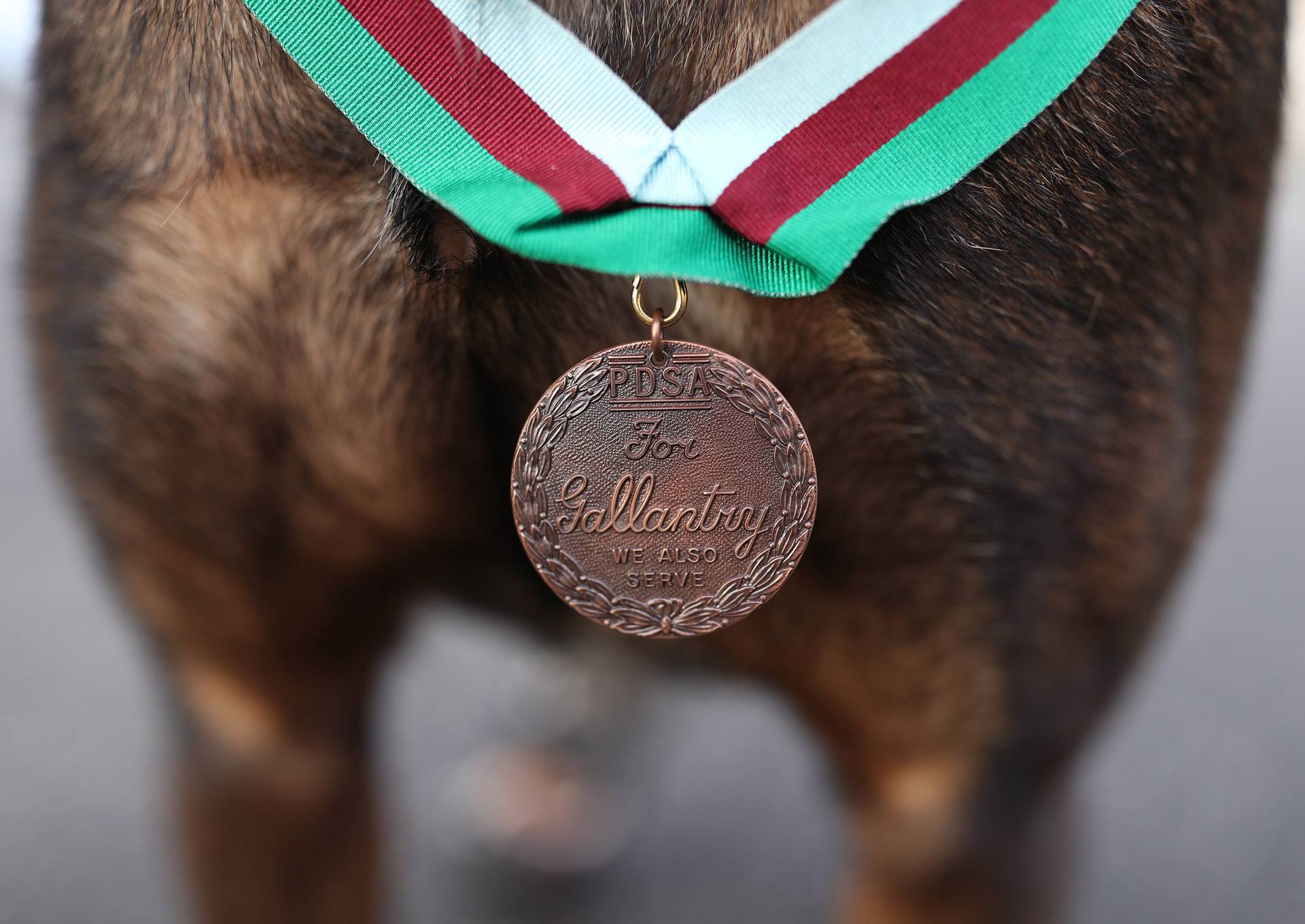 PDSA Dickin Medal for valour