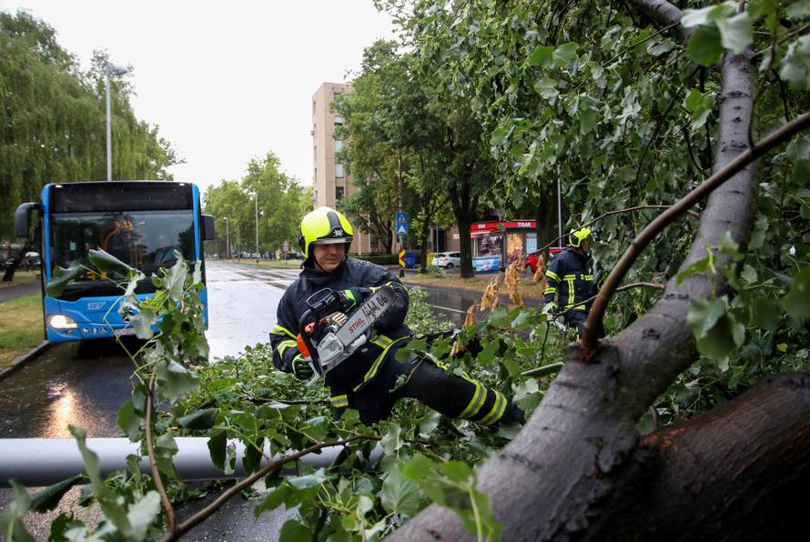 Zagreb: Vatrogasci uklanjaju stablo koje je palo u Ulici Svetog Mateja