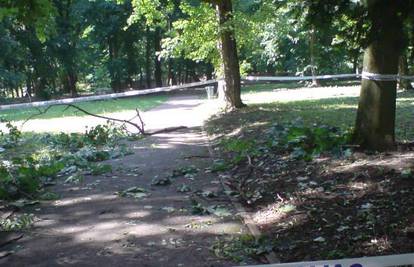 Đakovo: U parku je vjetar srušio stablo, padale grane