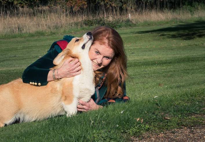 Prve fotografije Sarah Ferguson s kraljičinim korgijima koje je udomila nakon smrti Elizabete