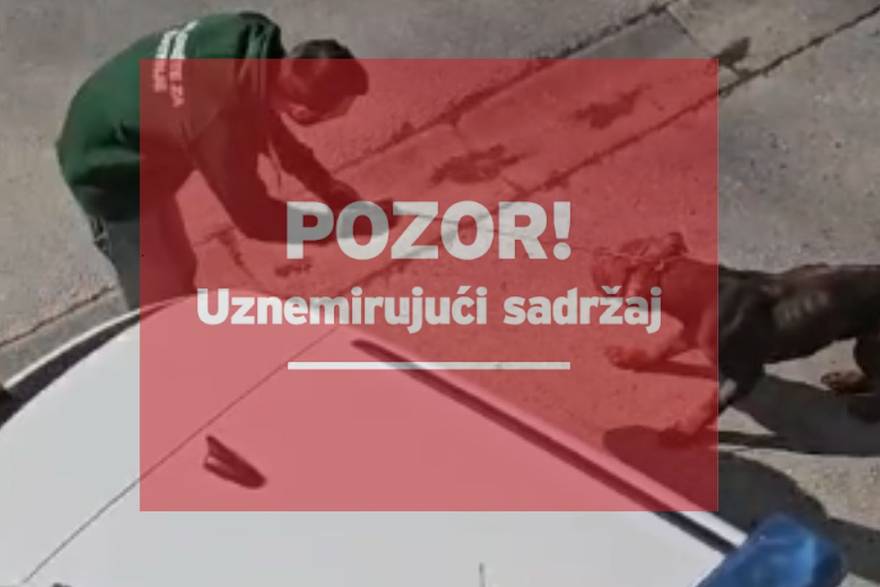 Odvođenje neuhranjenih pasa