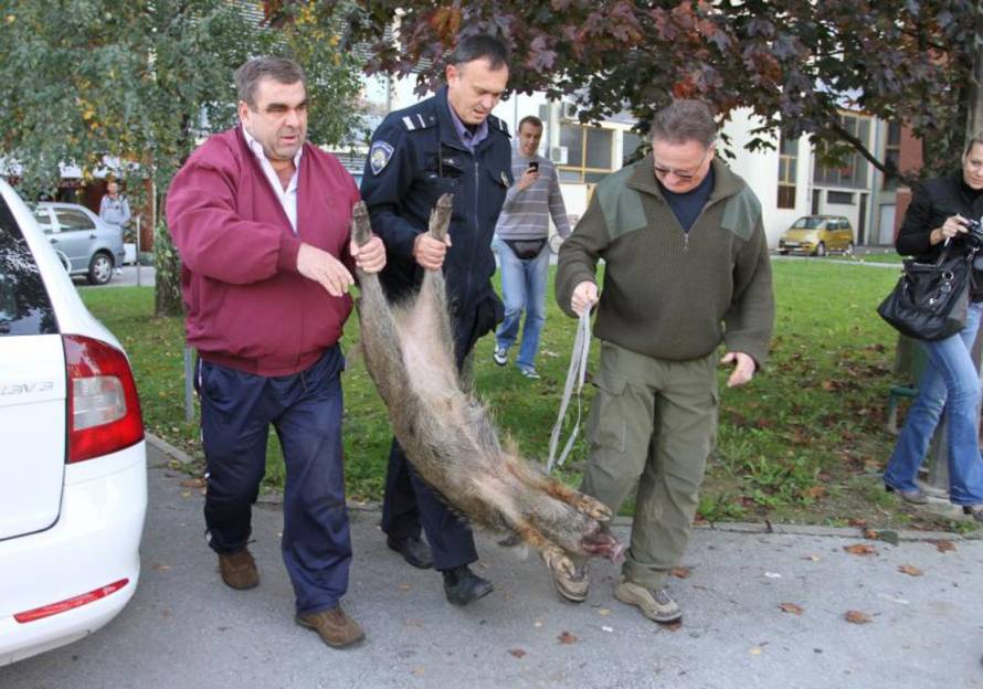 Kristina Štedul-Fabac/PIXSELL