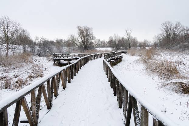 Kopački rit: Zimska idila u Baranji 