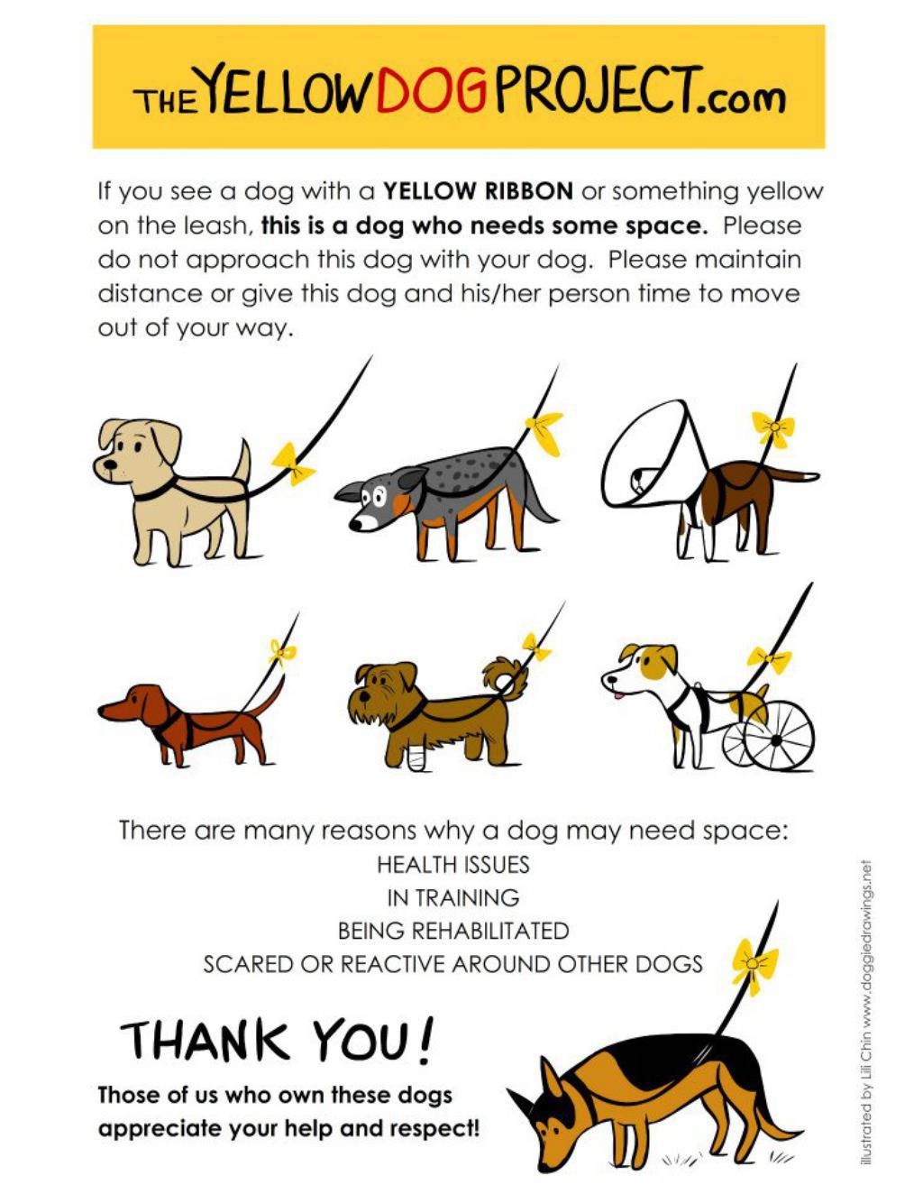 Facebook.com/TheYellowDogProject