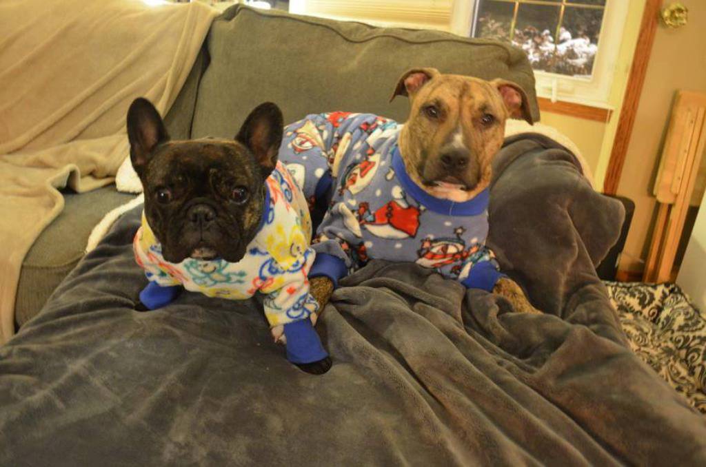 Pajamas for Pitbulls/Facebook
