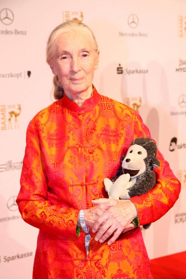 Jane Goodall ist am 1.Oktober 2025 im Alter von 91 Jahren gestorben