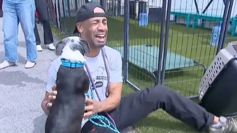 DIRLJIVO Muškarac se slomio: Našao svoju kujicu nakon tri godine! Plakao i grlio je...