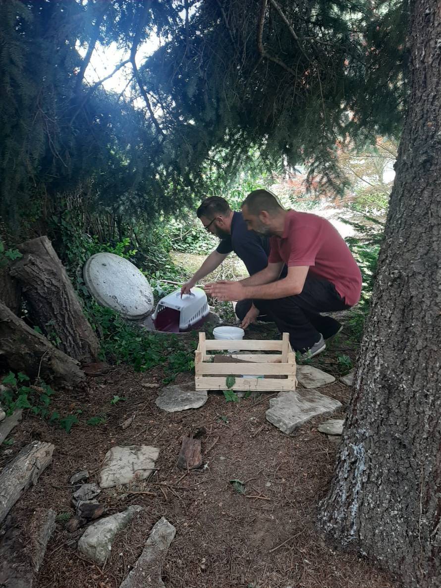 Mačić zapeo u kanalizacijskoj cijevi: 'Čuli su ga kako mjauče'