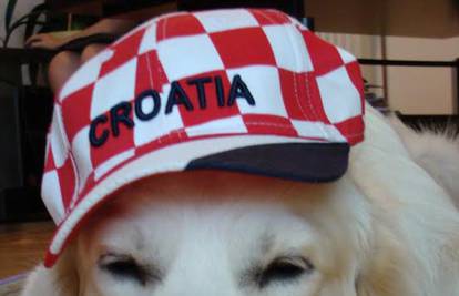 Vau - vau, mijau - mijau: I oni su vatreni navijači Hrvatske!
