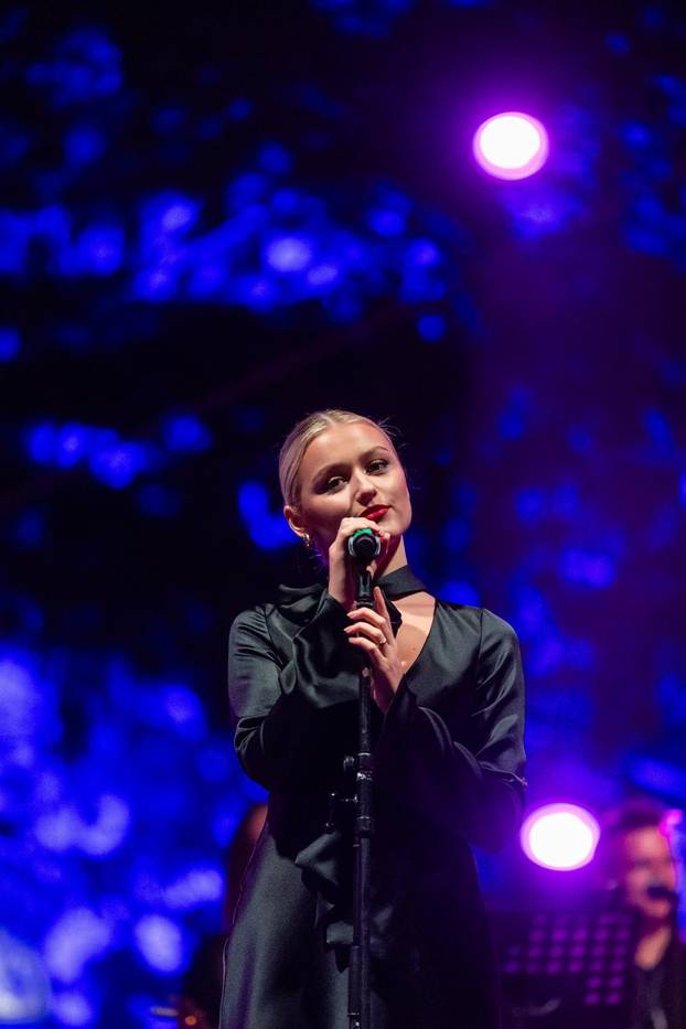 Zagreb: Koncert u čast Gabi Novak, Matije i Arsena Dedića