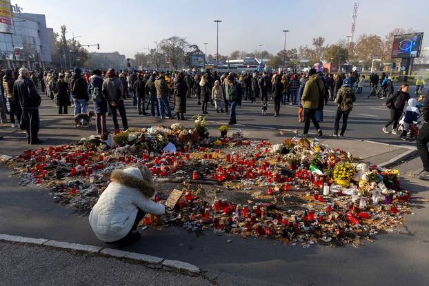 Anti-government protest after fatal railway roof collapse in Novi Sad