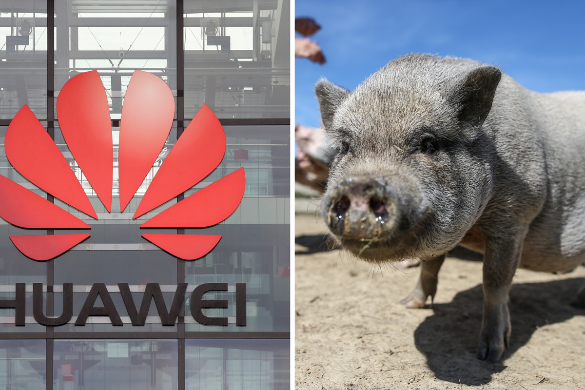 Huawei je razvio 'njuška ID'