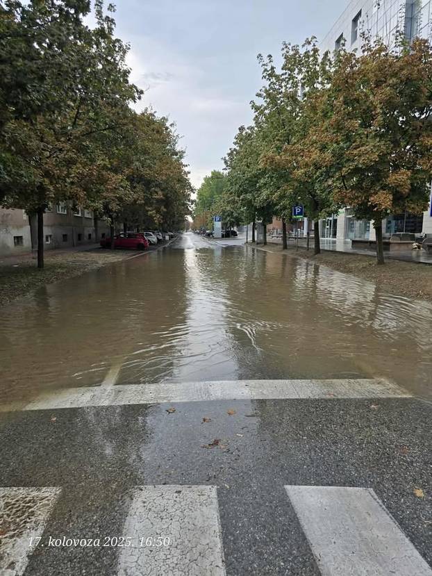 FOTO Veliko nevrijeme poharalo Osijek. Srušena stabla: Otvorilo se odjednom nebo i zemlja...