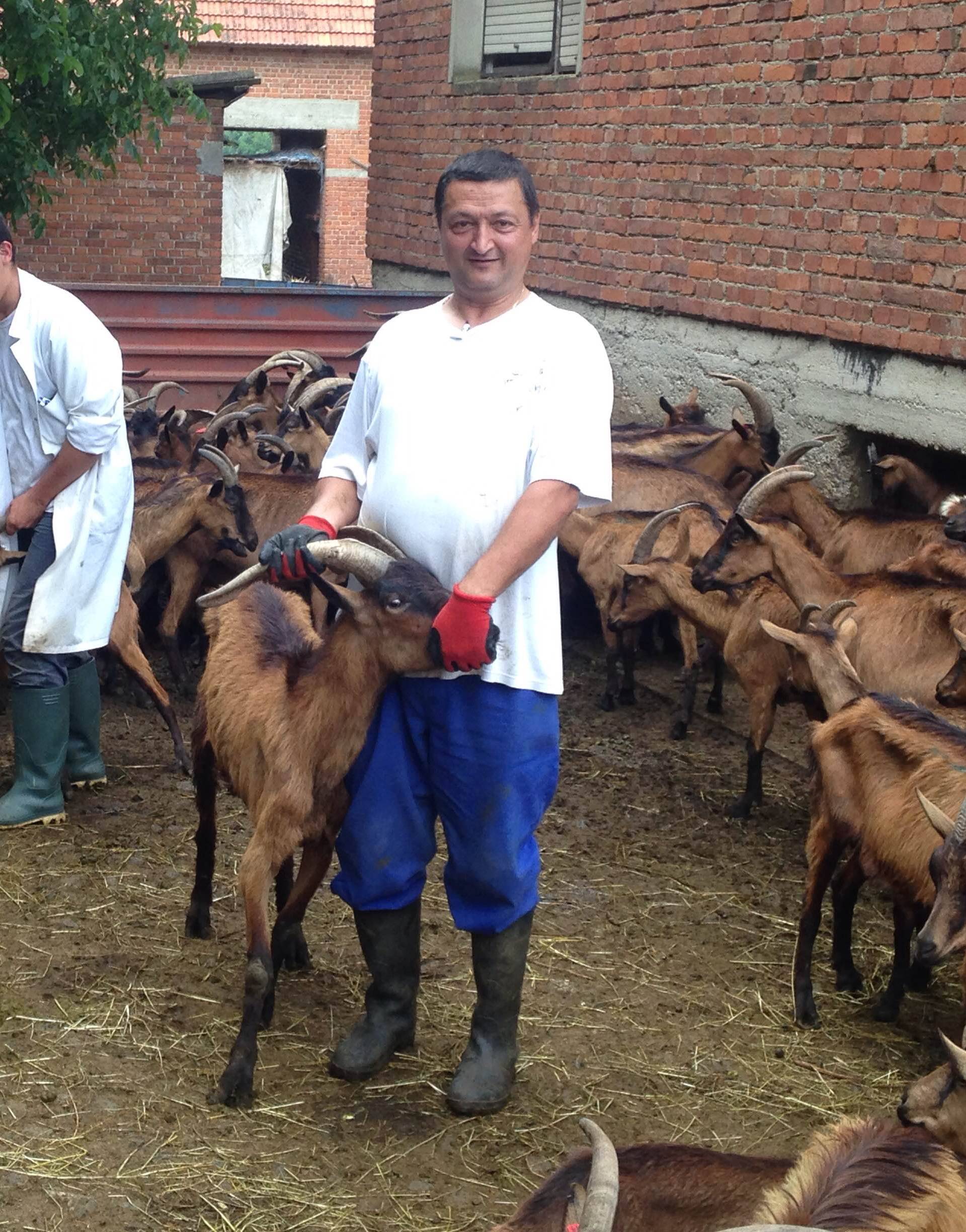 Traži se rješenje: Napuštene i gladne koze ostaju u Lakušiji