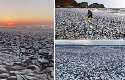 Japanski ribari zapanjeni prizorima na obali: 'Nikada prije nisam vidio ovako nešto'