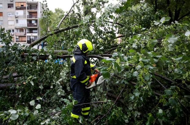 Zagreb: Vatrogasci uklanjaju stablo koje je palo u Ulici Svetog Mateja