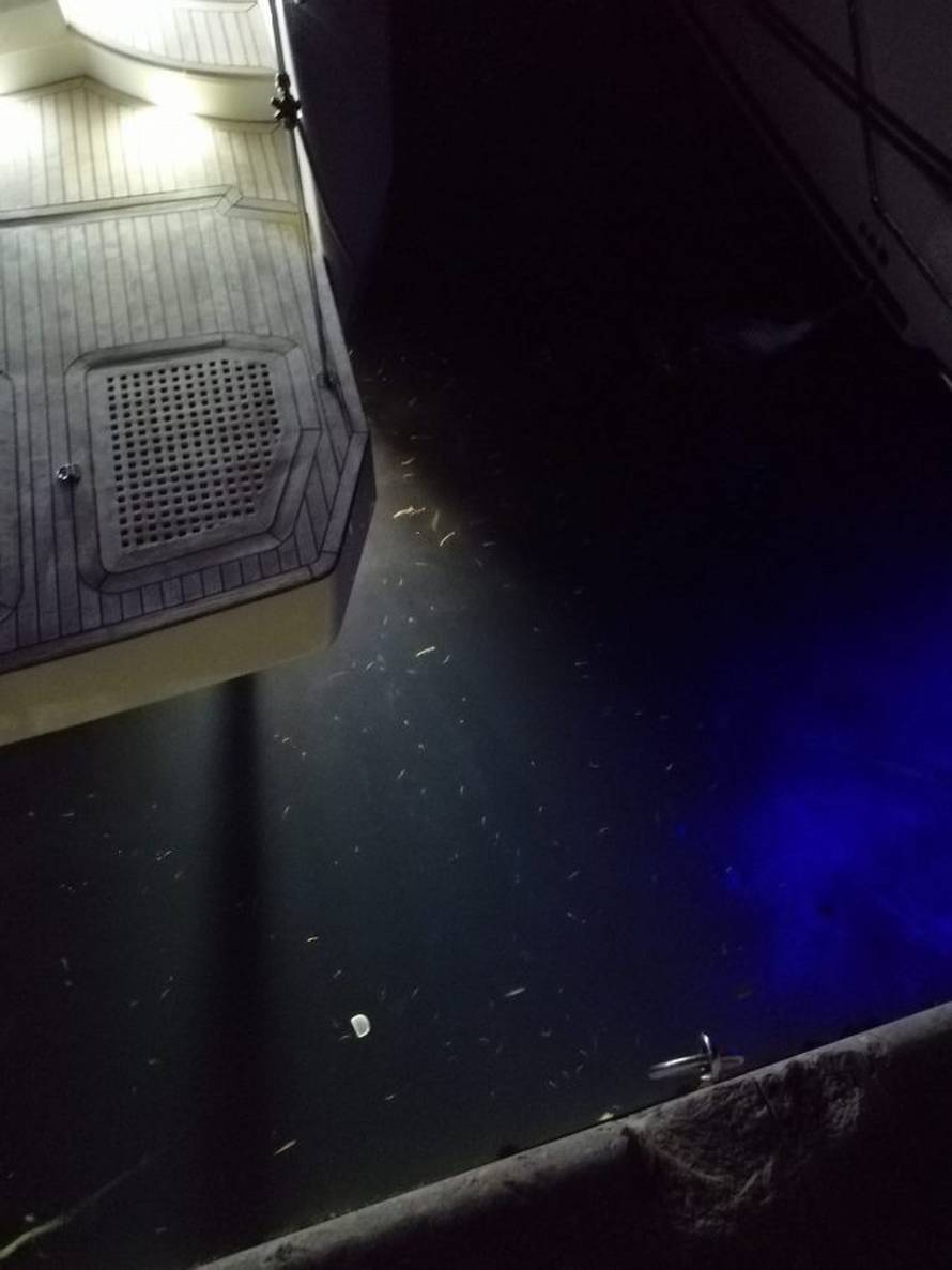 Ispustili fekalije u more pokraj Komiže: Kazna do 50.000 kuna