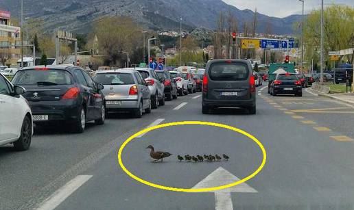 FOTO Konačno našli krivca za prometni krkljanac u Solinu! Ali kvako da se čovjek na njih ljuti?