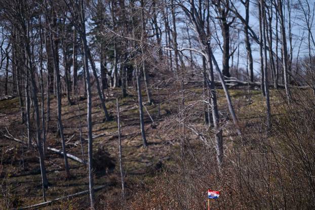 Zagreb: Posljedice olujnog nevremena na Sljemenu