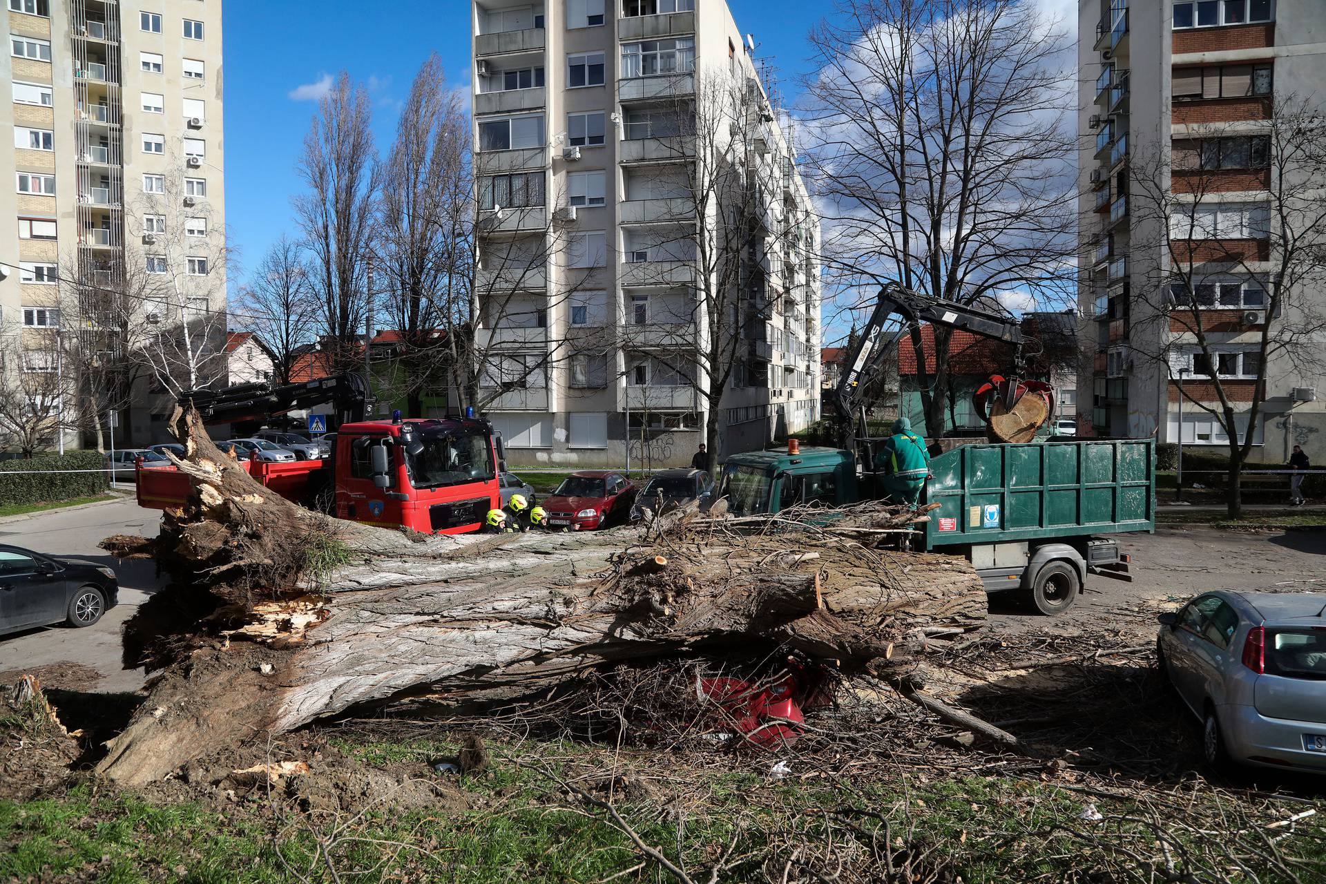 Zagreb: Vjetar srušio stablo jablana, oštećeno više automobila