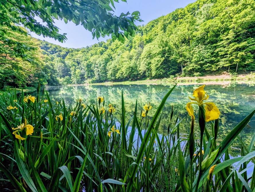 Park prirode Papuk: Ljetujte na zelenom otoku Panonskog mora