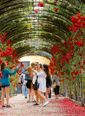 Tourists pose for photographs at the rose tunnel in the park of Schoenbrun palace in Vienna