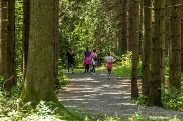 Osvježene u park šumi Golubinjak