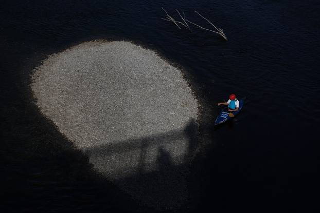 Zagreb: Kajakašice i kajakaši uživaju u Savi čiji je nizak vodostaj otkrio sprudove