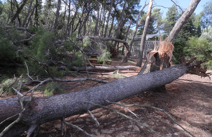 Posljedice velikog nevremena u Splitu, Marjan oštećen i zatvoren za građane