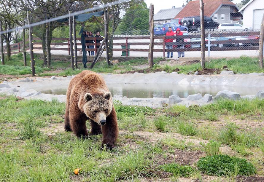 'I kako da se sada rastanem od medvjeda? Pa to su moje bebe'