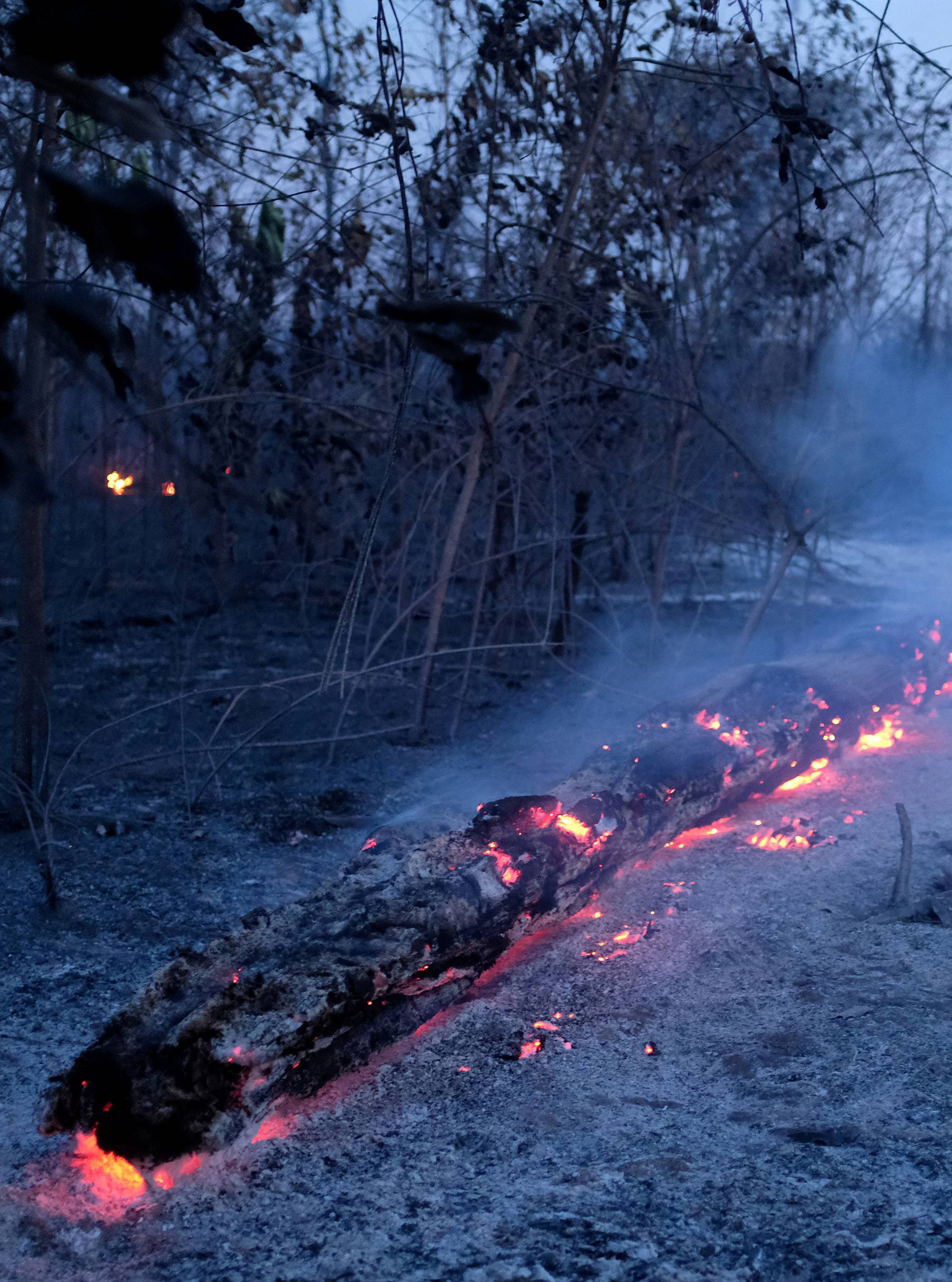 Amazonija i dalje gori: 2000 novih požara  u zadnjih 48 sati