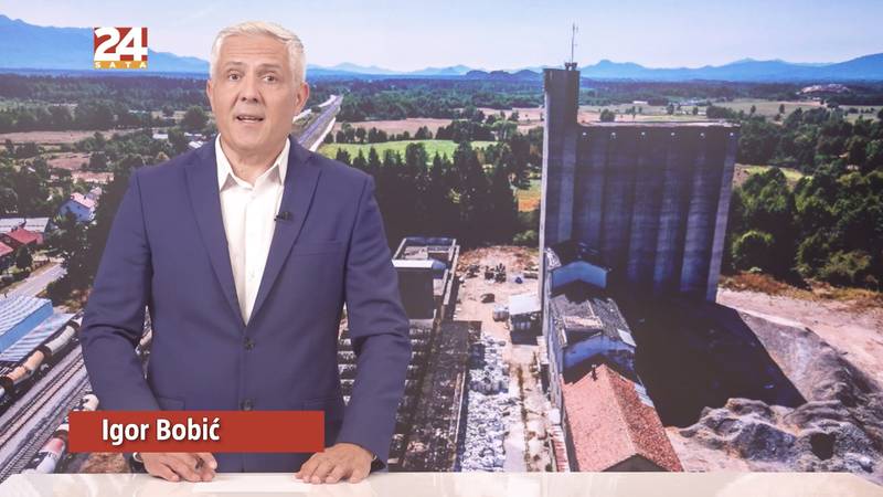 Gledajte '240 sekundi 24sata': Virus Zapadnog Nila kod vrana u Zagrebu. Evo kako se prenosi
