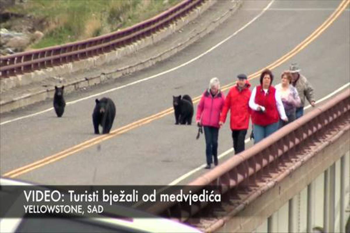 A oni samo željeli kući: Turisti bježali od mame i medvjedića