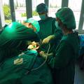 Kirurg o jedinstvenom zahvatu: 'Prvi put smo pacijentu spasili čeljust ovakvom operacijom'
