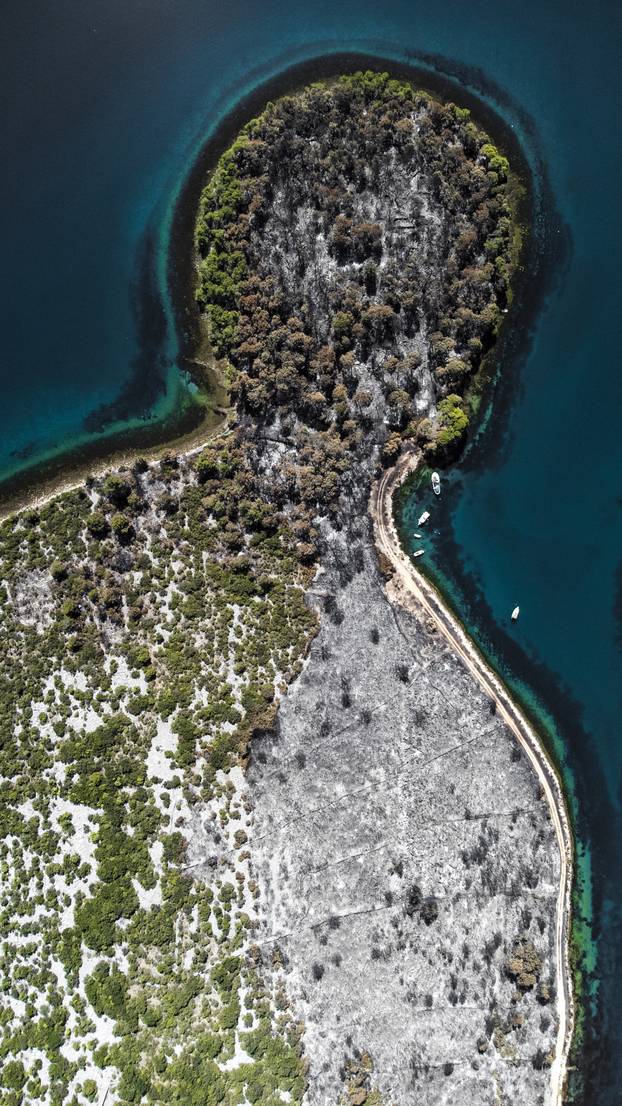 Zaton: Nakon požara poluotok neodoljivo podsjeća na portret čovjeka