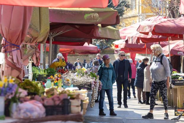 Pula: Cijene šparoga na gradskoj tržnici