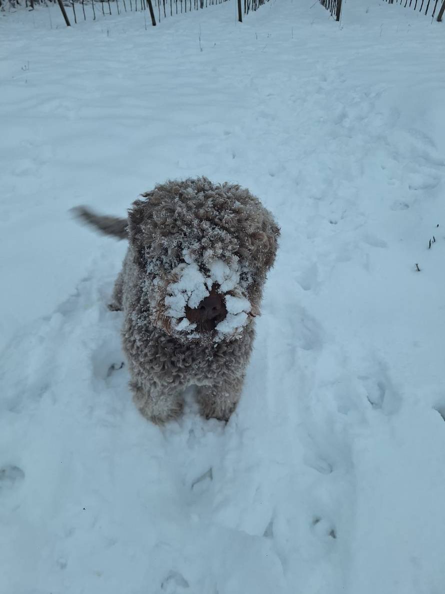 Općinska komunalka sama 'izlopatala' snijeg sa staze: 'Nema nikakve drame u tome'