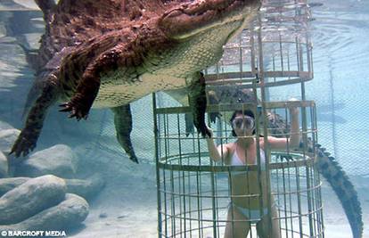Na godišnjem odmoru plivajte malo s krokodilima