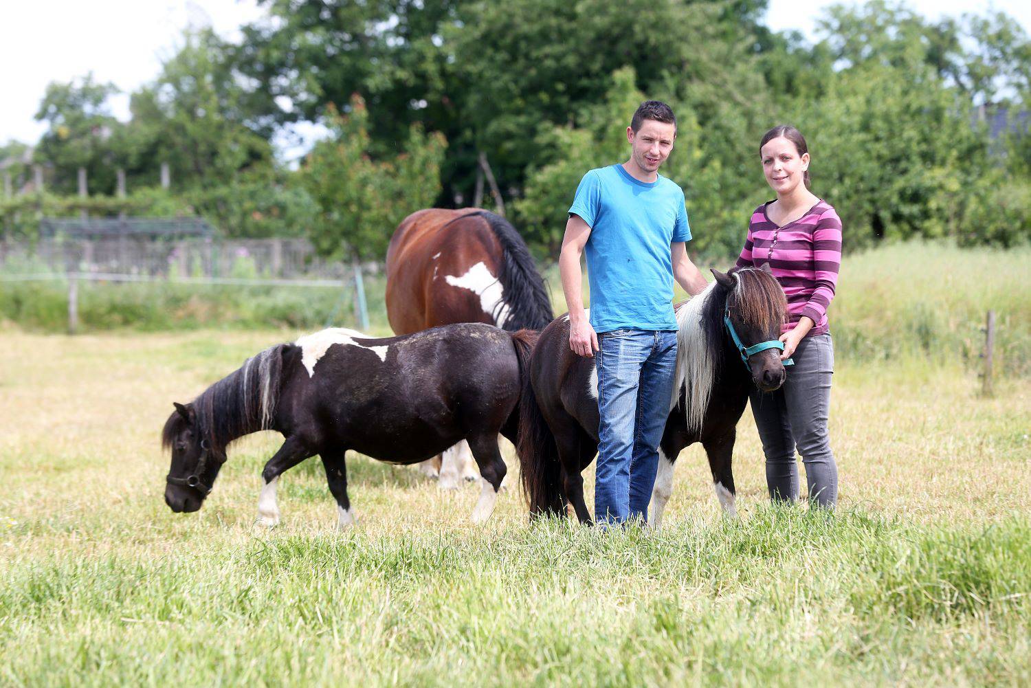 Carstvo u Murskom Središću: 'Na našem ranču Ponyland žive najsretniji konjići na svijetu'