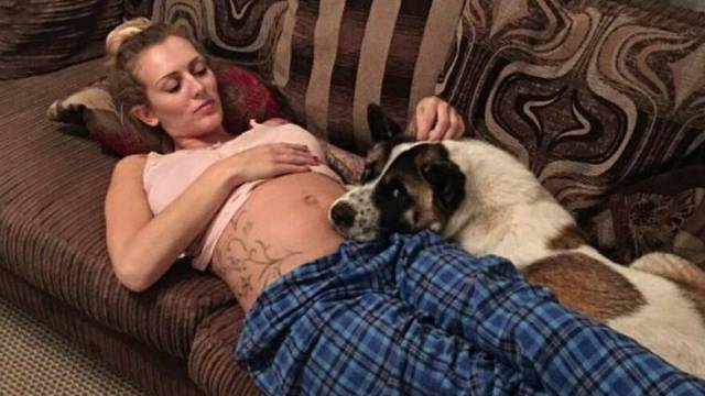 Pas je trudnoj vlasnici spasio život, nanjušio opasnu infekciju