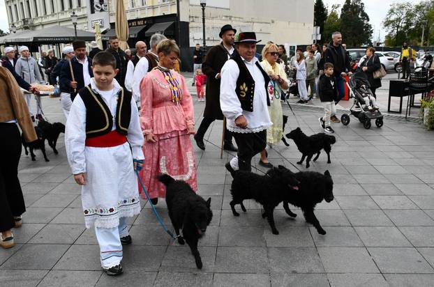 FOTO Slavonski Brod oborio rekord: Na Pogačafestu ispekli pogaču dugačku 20 metara!