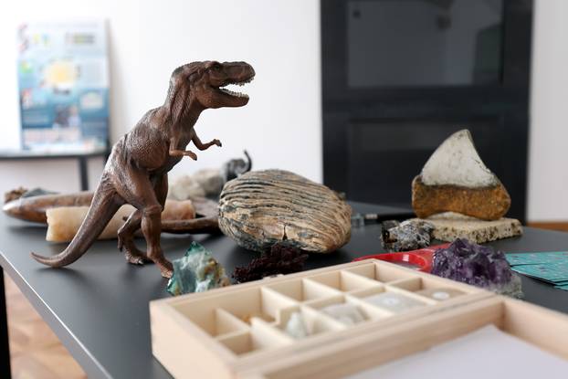 Zagreb: Završen je projekt Čuvar baštine Hrvatskog prirodoslovnog muzeja