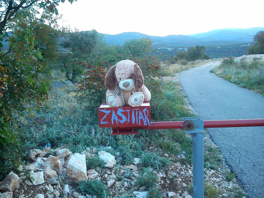 Ovo su vaše fotografije godine: Magarci, Fićo i puno ljubavi...