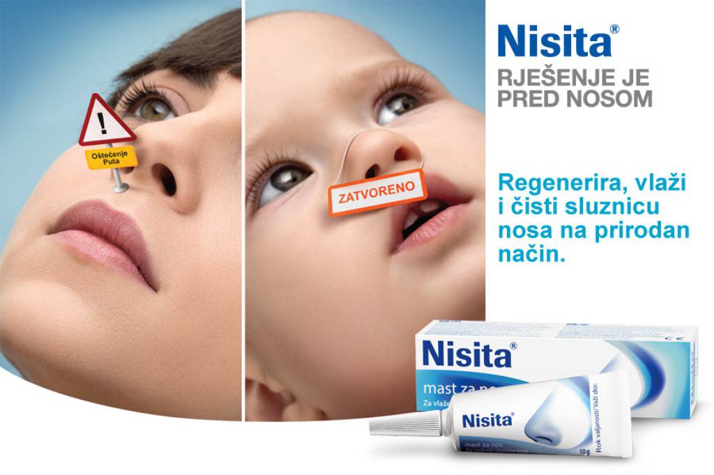 Nisita