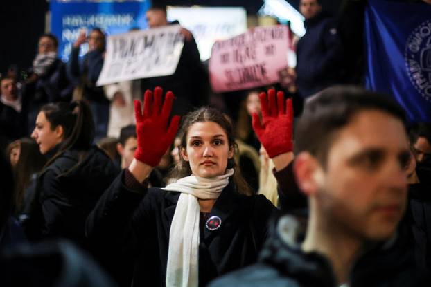 Anti-government protest following the Novi Sad railway station disaster, in Belgrade