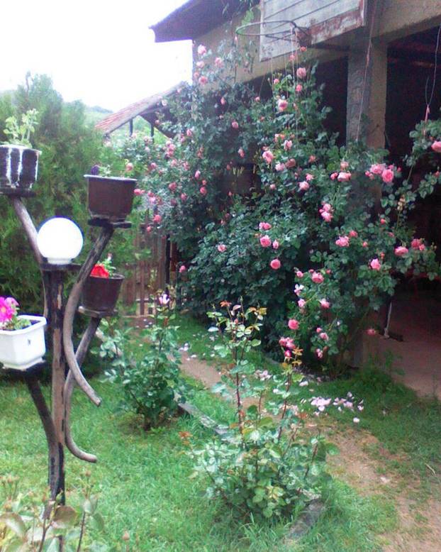 FOTO Najljepša dvorišta i kućni vrtovi - pronađite inspiraciju za vlastitu biljnu oazu