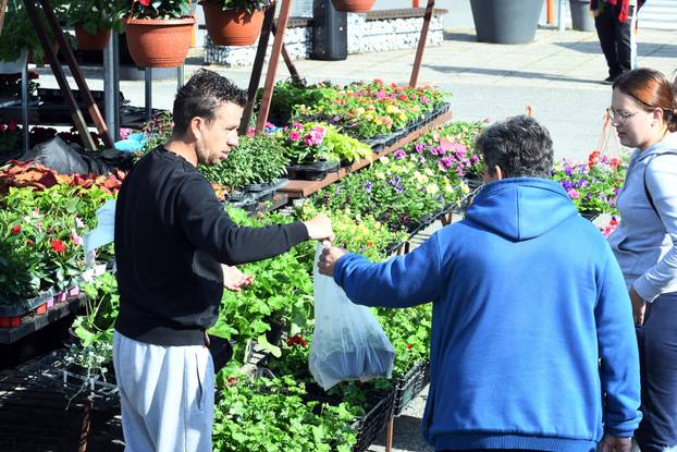 Sisak: Subotnja ponuda cvijećana tržnici