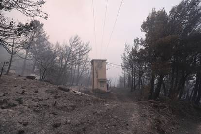 FOTO Teška noć u Tučepima: Umorni vatrogasci leže na cesti, vatra zahvatila kuće, ranč...