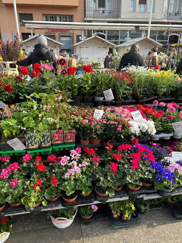 FOTO Građani šokirani! Za kilu janjetine 20 eura, rajčice po 7, a orada na Dolcu čak 28 eura