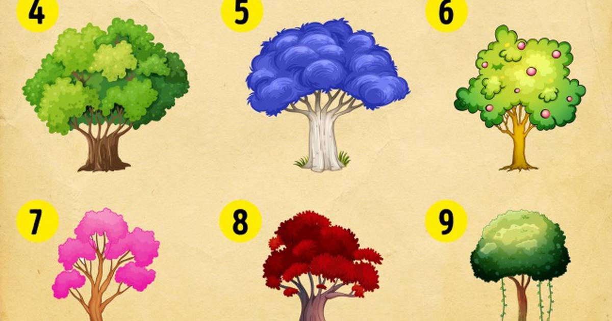 Угадай ответ дерево. Тест с деревьями в картинках. Тест личности деревья. Тест выбери дерево на картинке. Рисунок дерева тест.